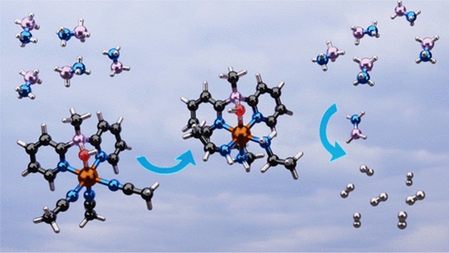 Unraveling the mechanistic details of Ru-Bis (pyridyl) borate complex catalyst for the dehydrogenation of ammonia borane